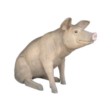 Großes sitzendes Schwein lebensgroß