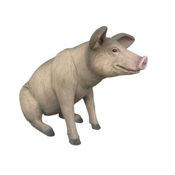Kleines sitzendes Schwein lebensgroß