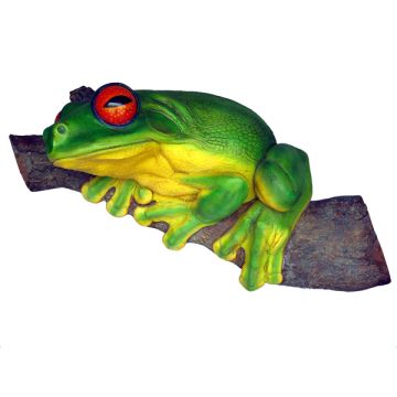 Baumfrosch verkleinert