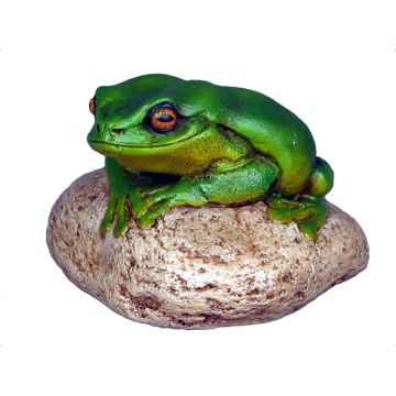Frosch auf Stein klein lebensgroß