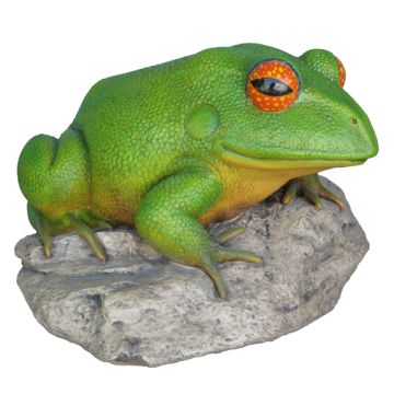 Frosch auf Stein groß verkleinert