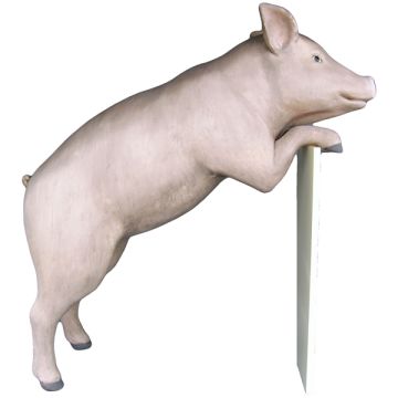 Stehendes Schwein lebensgroß