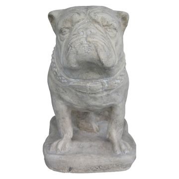 Bulldogge Antik lebensgroß