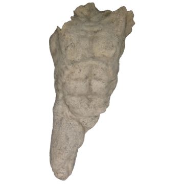 Männlicher Torso lebensgroß