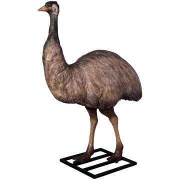Emu lebensgroß lebensgroß