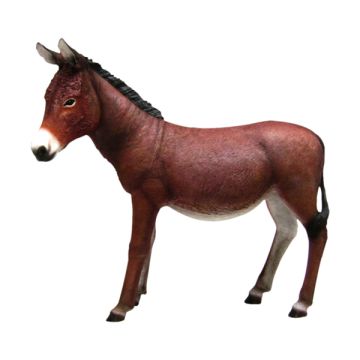 Esel lebensgroß