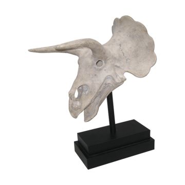 Triceratops Schädel auf Sockel lebensgroß