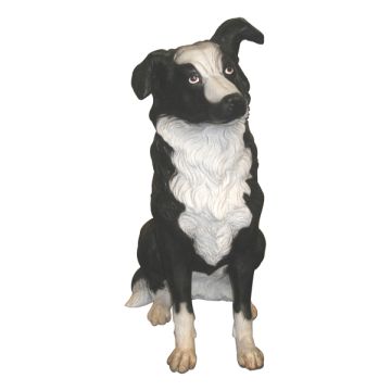 Border Collie lebensgroß