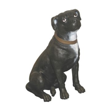 Staffordshire Terrier lebensgroß