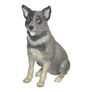 Blue Heeler lebensgroß