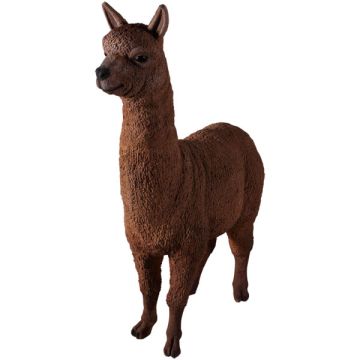 Alpaca lebensgroß