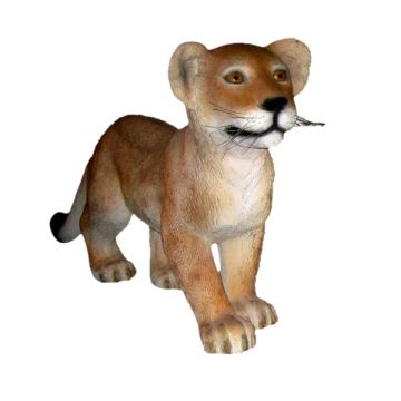 Löwenbaby stehend lebensgroß