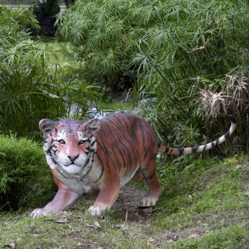 Bengalischer Tiger lebensgroß