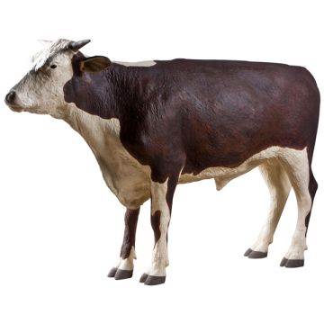 Hereford Stier lebensgroß