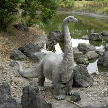 Brontosaurus lebensgroß