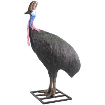 Kasuar Weibchen Laufvogel lebensgroß