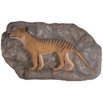 Tasmanischer Tiger auf Felsvorsprung lebensgroß