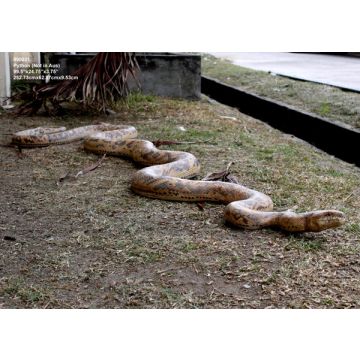 Python lebensgroß