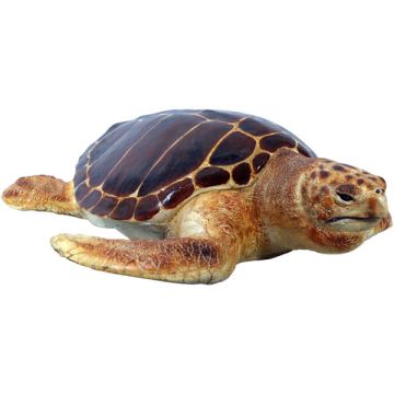 schwimmende Karettschildkröte lebensgroß