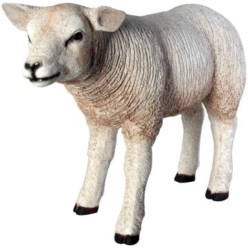 Lamm Wollschaf stehend lebensgroß