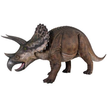 Triceratops lebensgroß