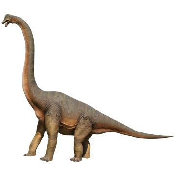 Brachiosaurus lebensgroß