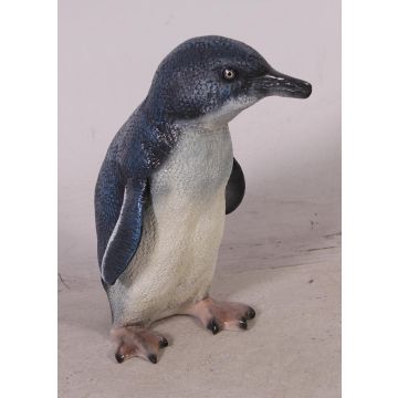 Feenpinguin Baby lebensgroß