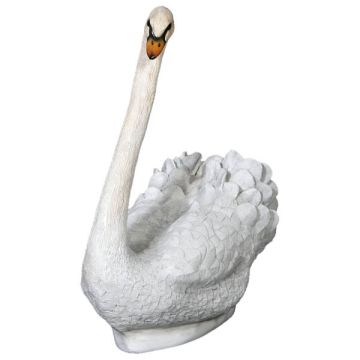 sitzender Schwan lebensgroß