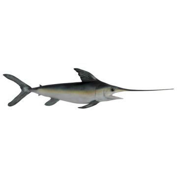 Schwertfisch lebensgroß