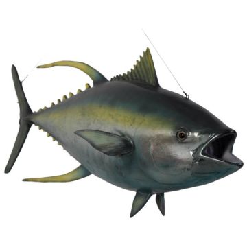 Gelbflossen Tunfisch lebensgroß