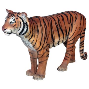 Sumatra Tiger lebensgroß