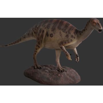 Baby Iguanodont verkleinert