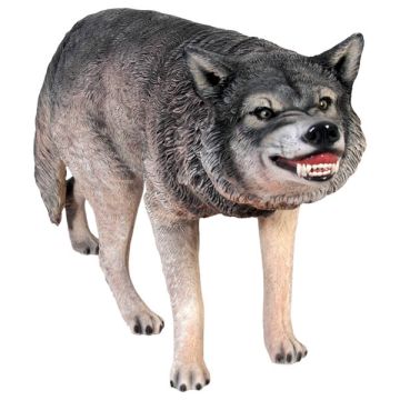 Wolf lebensgroß