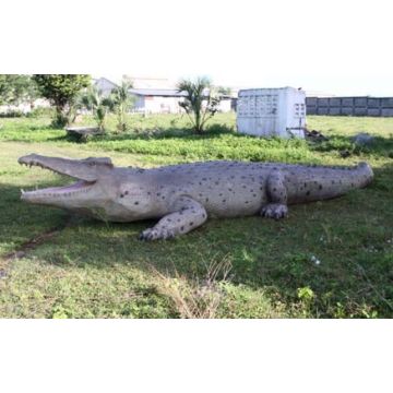 riesen Krokodil lebensgroß