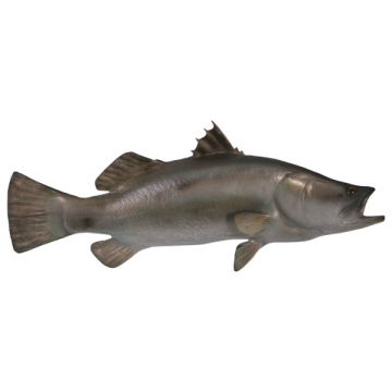 Barramundi Fisch lebensgroß