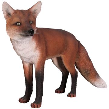roter Fuchs lebensgroß