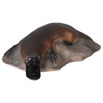 kleines Schnabeltier auf Stein lebensgroß