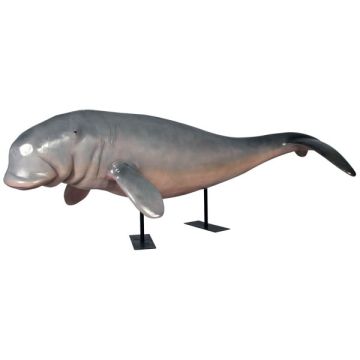 Dugong auf Metallständer lebensgroß