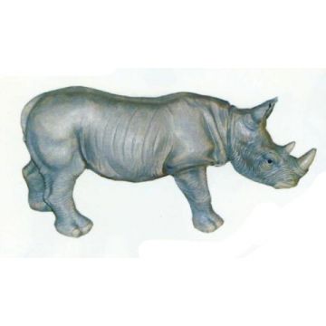 kleines Nashorn verkleinert