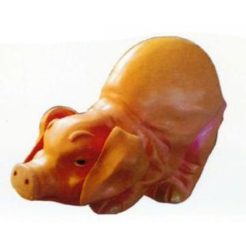 lustiges Schwein Po oben verkleinert