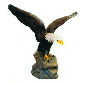 Weißkopfseeadler breitet Flügel aus lebensgroß