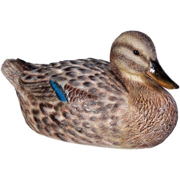 Ente weiblich lebensgroß
