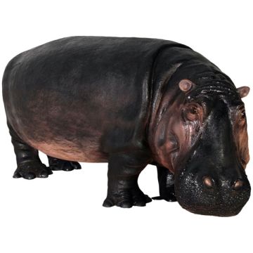 Nilpferd lebensgroß lebensgroß