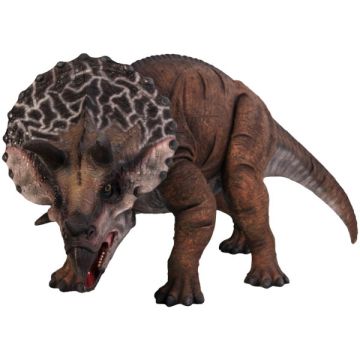 kleiner Triceratops lebensgroß