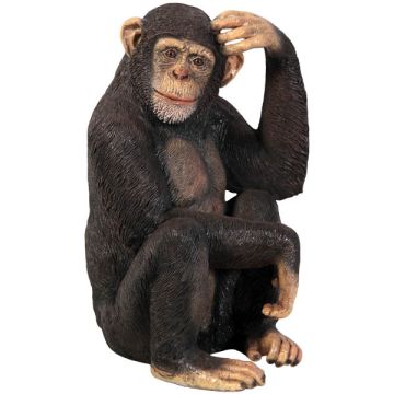 Schimpanse lebensgroß
