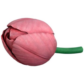 Tulpe übergroß XXL