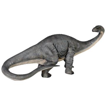kleiner Apatosaurus verkleinert