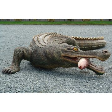 Sarcosuchussaurus lebensgroß