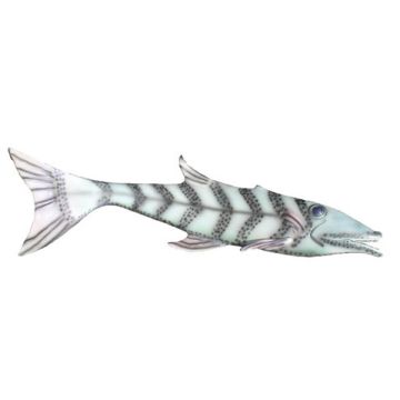 Baracuda 1 lebensgroß