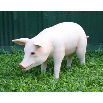 Rosa Schwein stehend lebensgroß